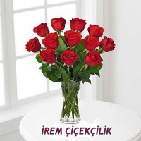 /album/anthurium/a12-gul-jpg/